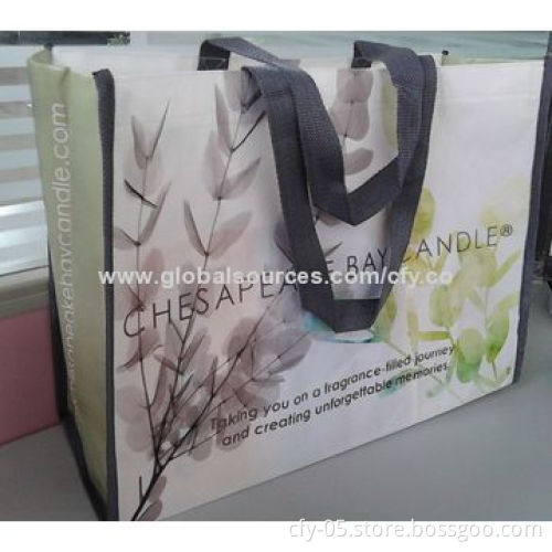 Eco-friendly Nonwoven PP Shopping Handbag, Recycling and Environment-friendly